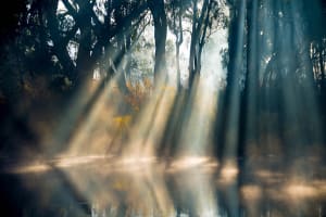 Image doctor: Light and atmosphere